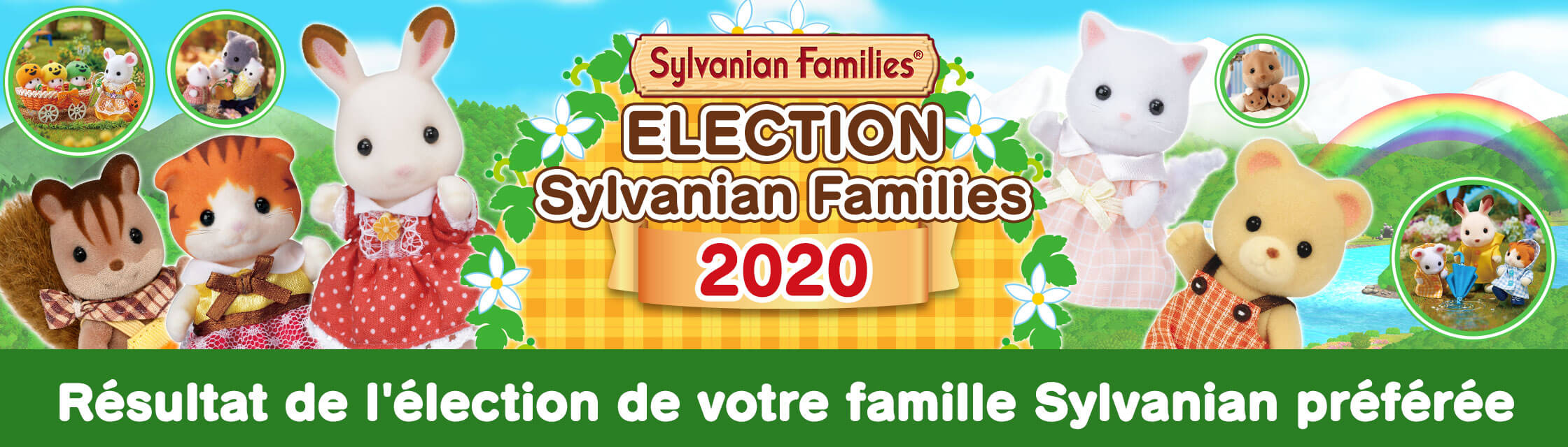 Election Sylvanian Families